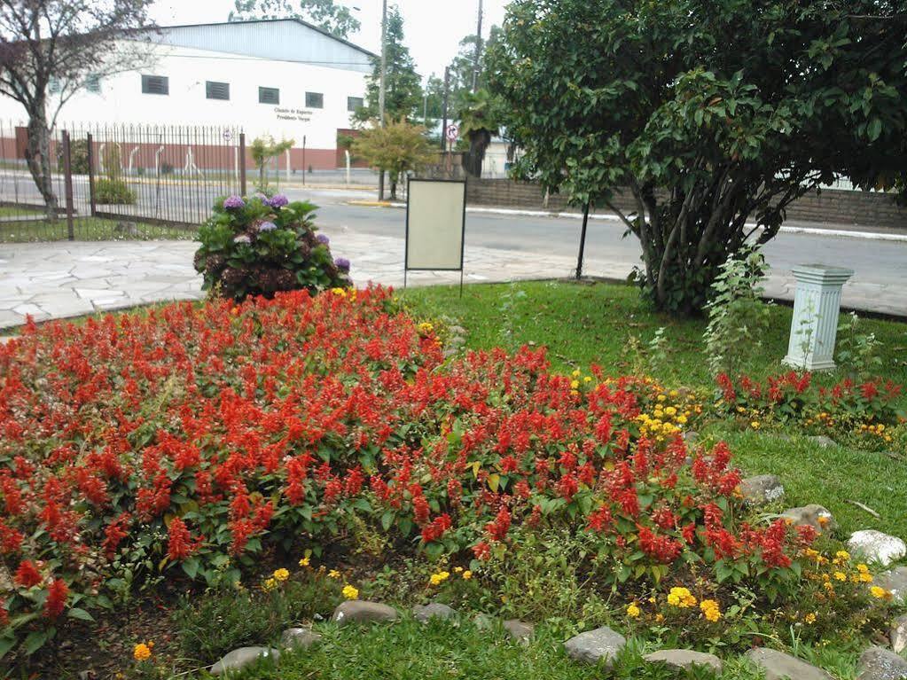 Flores 2*